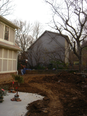 backyard 01/04