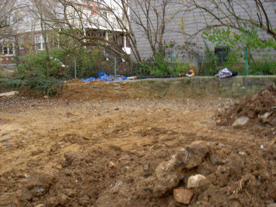 more backyard