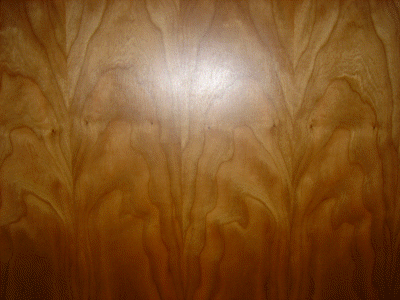 cabinets - inside