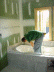 tub surround