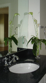 masterbathicon011808